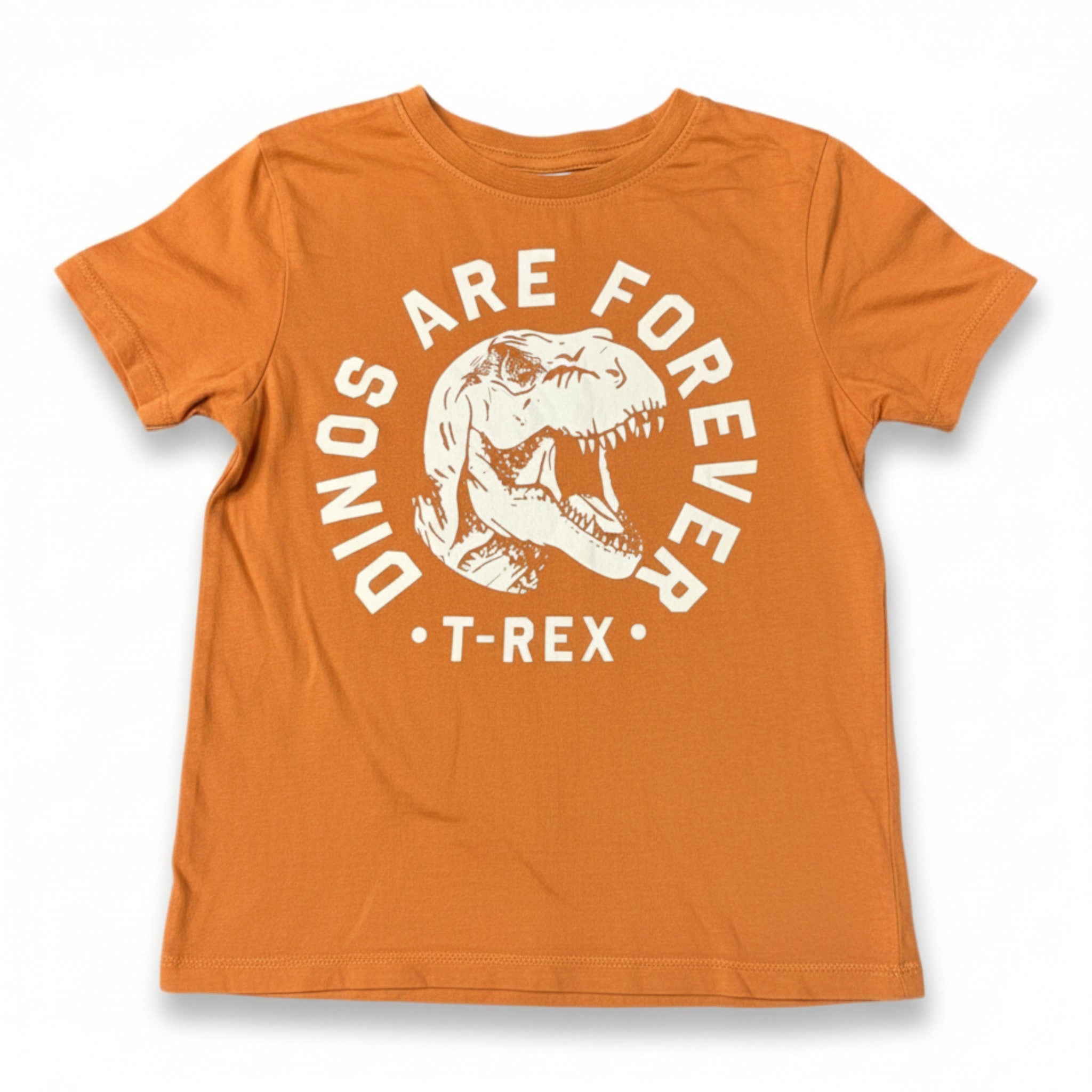 Polera H&M Café Estampado dinosaurio 4-5 años seleccionada por NÜVA
